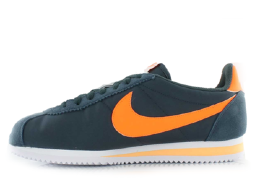 Nike Cortez Oceanic Style