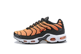 Nike Air Max TN Orange